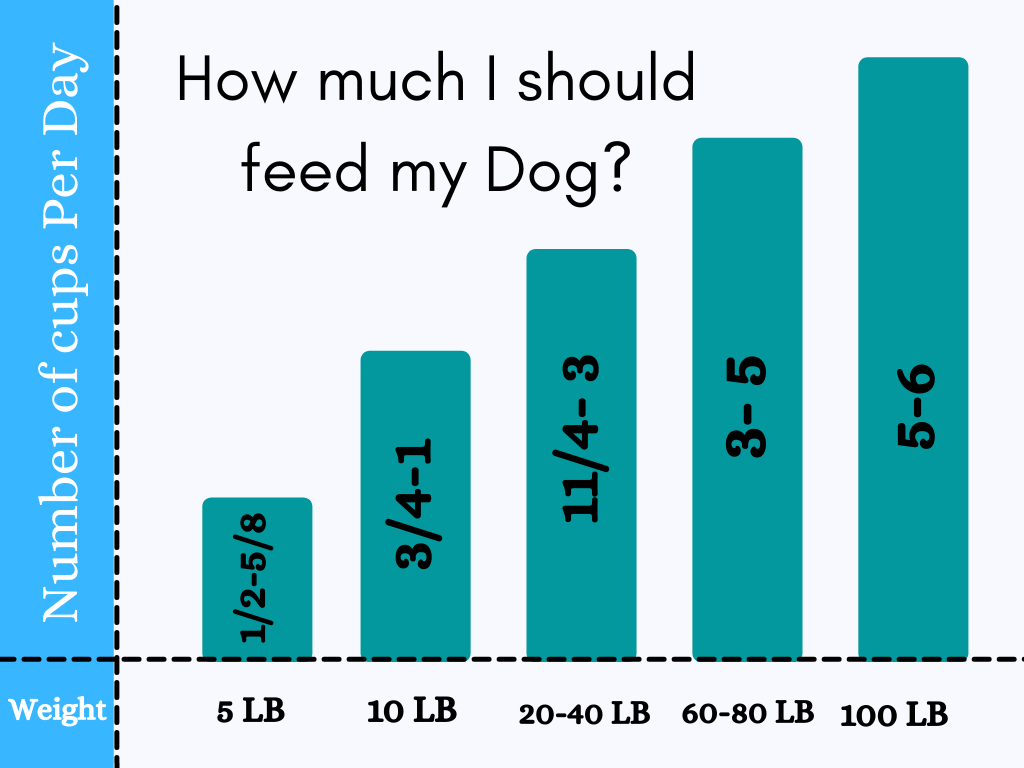 Best Food for German Shepherd 1