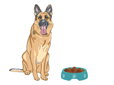 best dog food for German shepherd