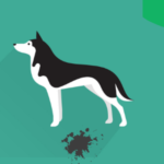 Home 23 best dog food for husky