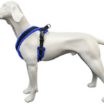 best dog harness for running