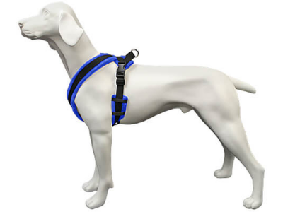 best dog harness for running