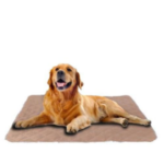 best washable dog pee pads