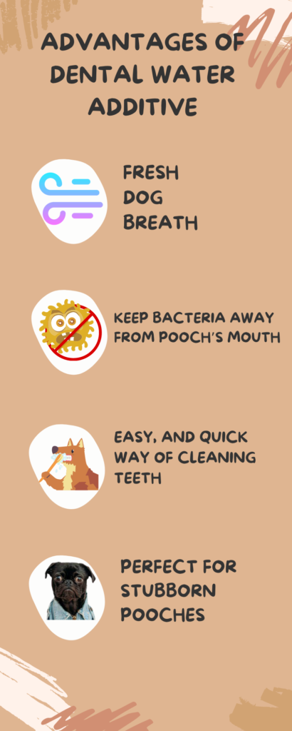 The Best Dental Water Additives for Dogs 15
