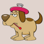 Best Dog Thermometers