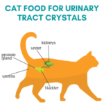 Best Cat Food For Urinary Tract Crystals