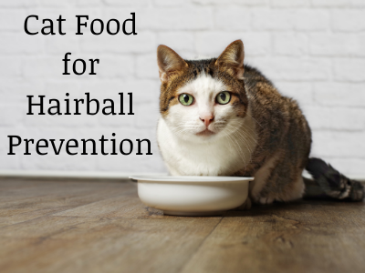 Best Cat Food for Hairball Prevention