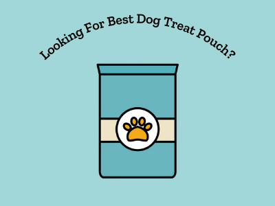 Best Dog Treat Pouch 1