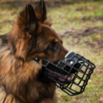 best dog muzzle for german shepherd