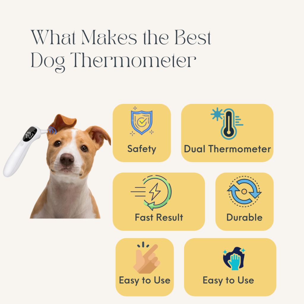 What Makes the Best Dog Thermometer