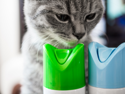 Best Air Fresheners for Cat Litter