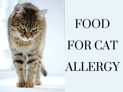 What is the Best Wet Cat Food For Cats With Skin Allergies 1
