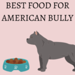 Home 25 best food for American bully