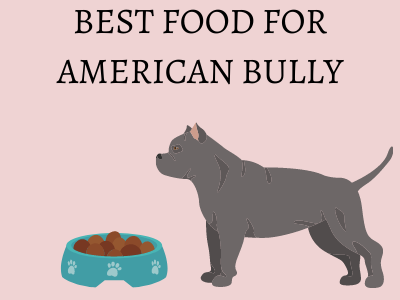 best food for American bully