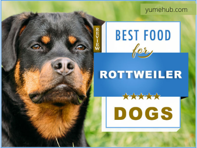 Best Dog Food for Rottweilers 1