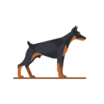 Best Dog Food for Dobermans