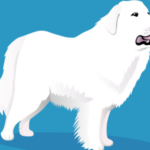 Best Food for Great Pyrenees