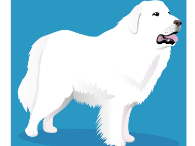 Best Food for Great Pyrenees