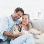 Couple sitting on sofa with a smiling dog on their lap