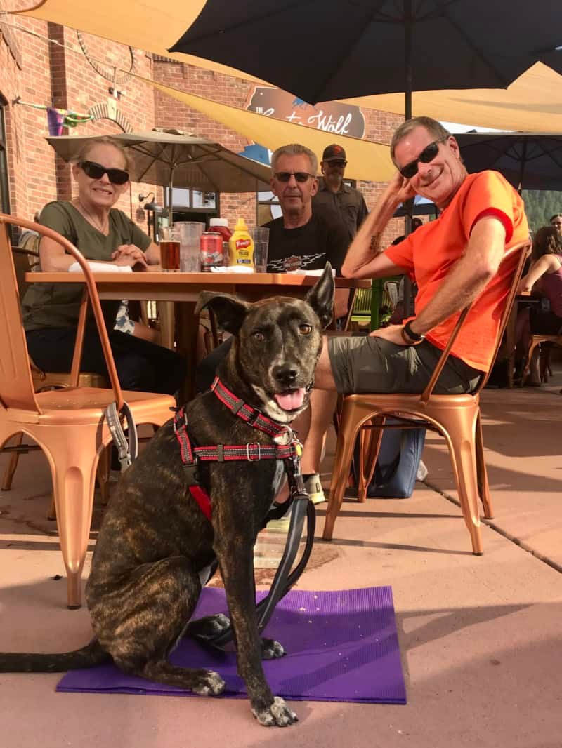 Brindle dog, woman and two men on the pet friendly patio at Custer Wolf in Custer, SD