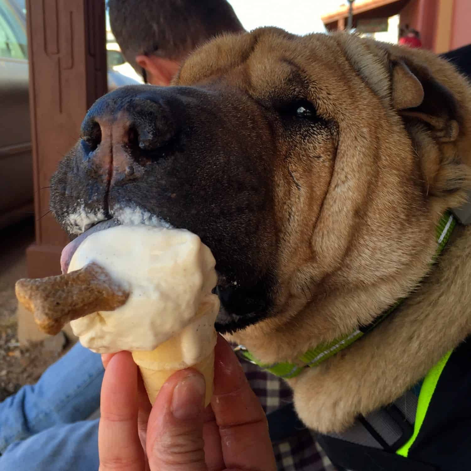 Ty's Ice Cream Cone - Tombstone, AZ