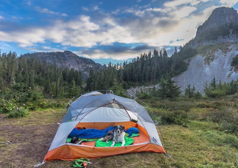 6 affordable vacations with your pet