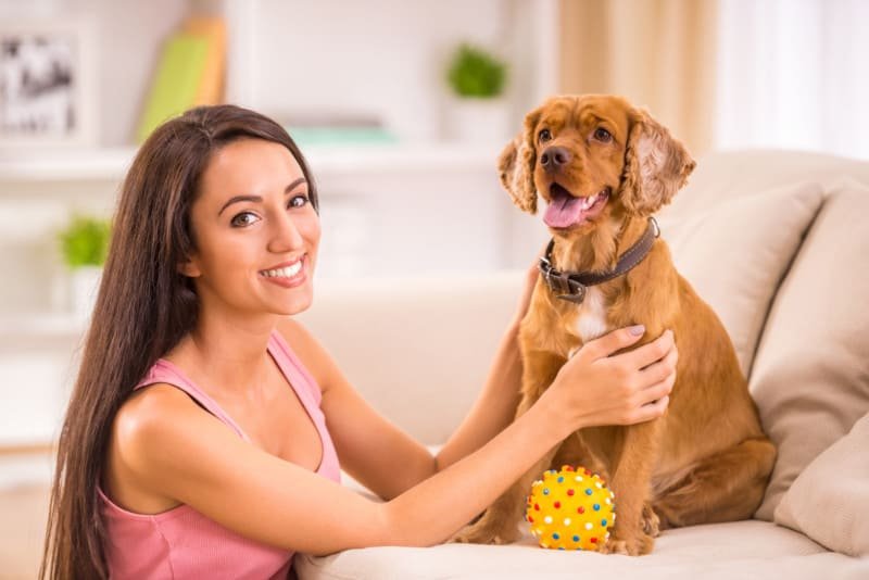 Smiling woman with happy cocker spaniel puppy holding a ball