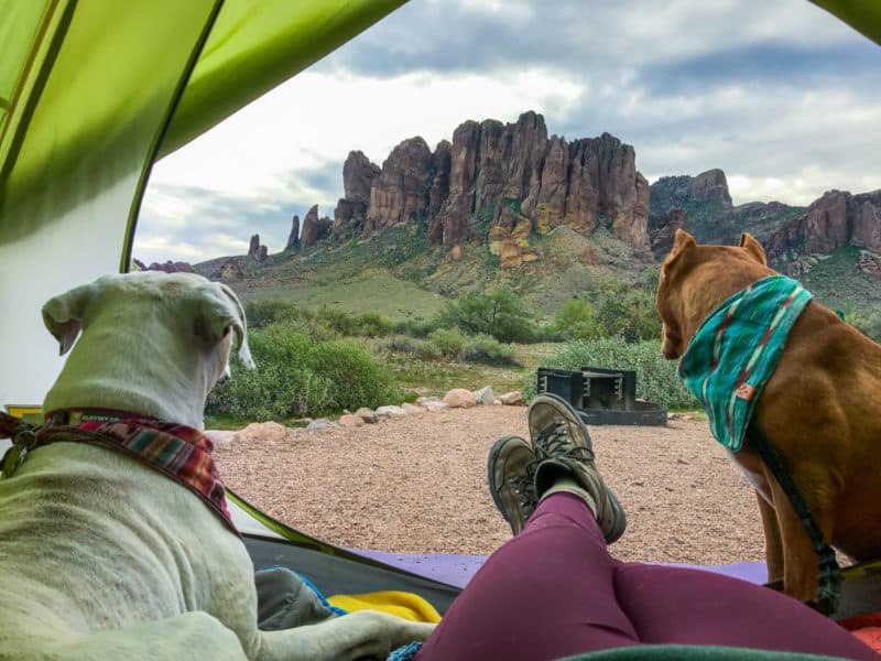 Frauenfüße und zwei Hunde campen in einem Zelt mit Blick auf eine Felsformation