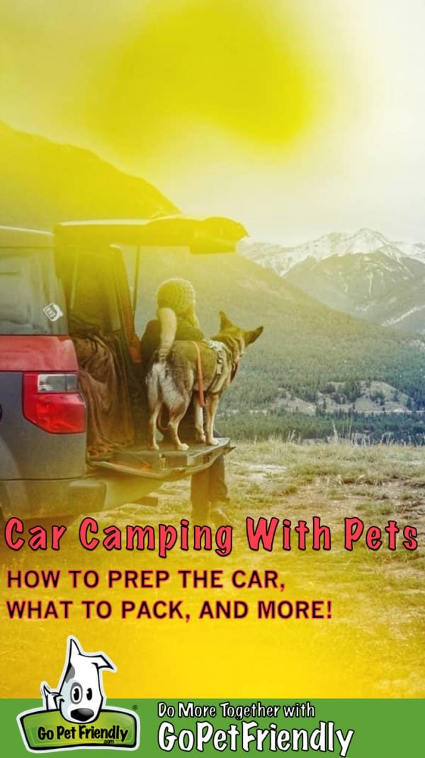 Woman and her dog sitting on the tailgate of her car looking at a mountain view