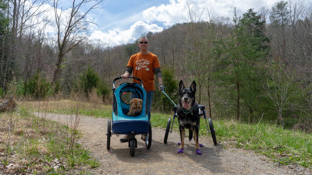 Man with two dogs walking on a pet friendly trail in Cumberland Gap National Historic Park