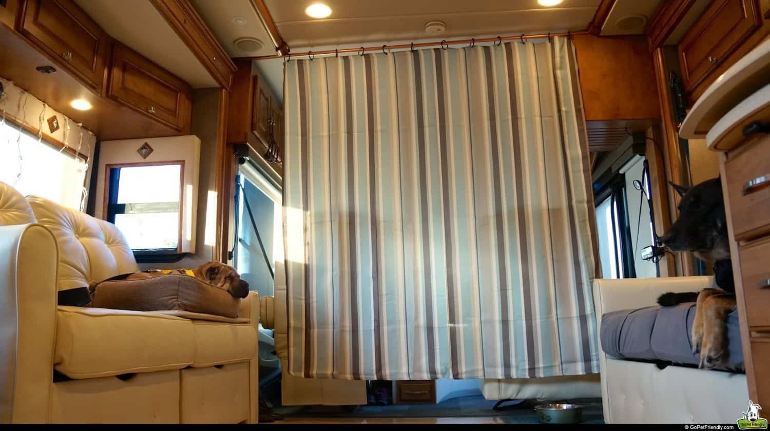 Shower curtain blocking two dogs from the windshield in an RV