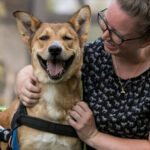 Home 21 Your Dog's Favorite Person