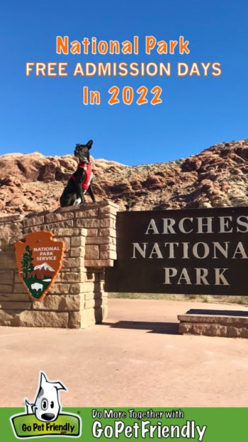 Tabby dog ​​in a red harness sits on the sign for Arches National Park in Moab, UT