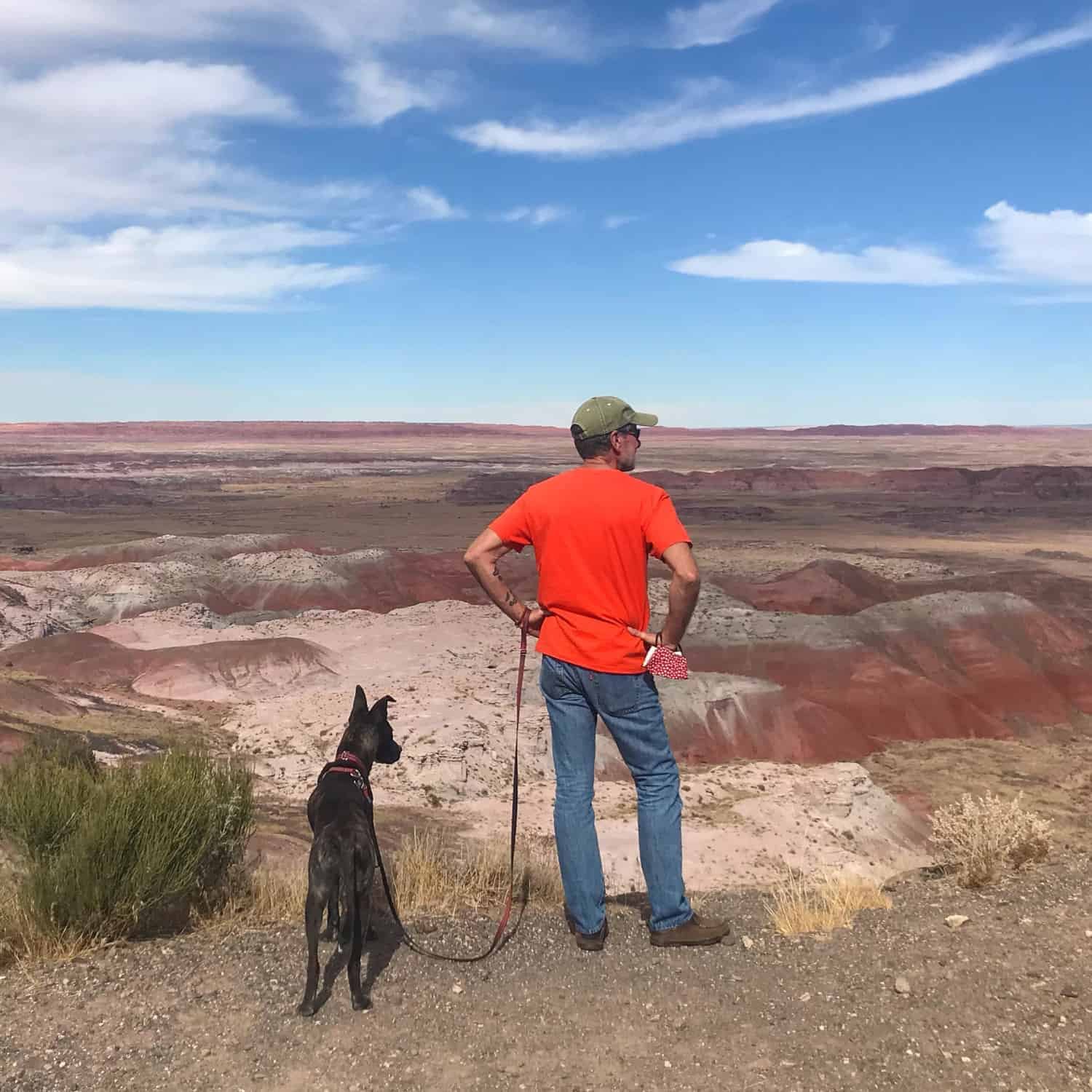 Man and dog stand on a ledge overlooking the landscape in Petrified Forest National Park in AZ
