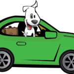 Home 21 Scout in Car
