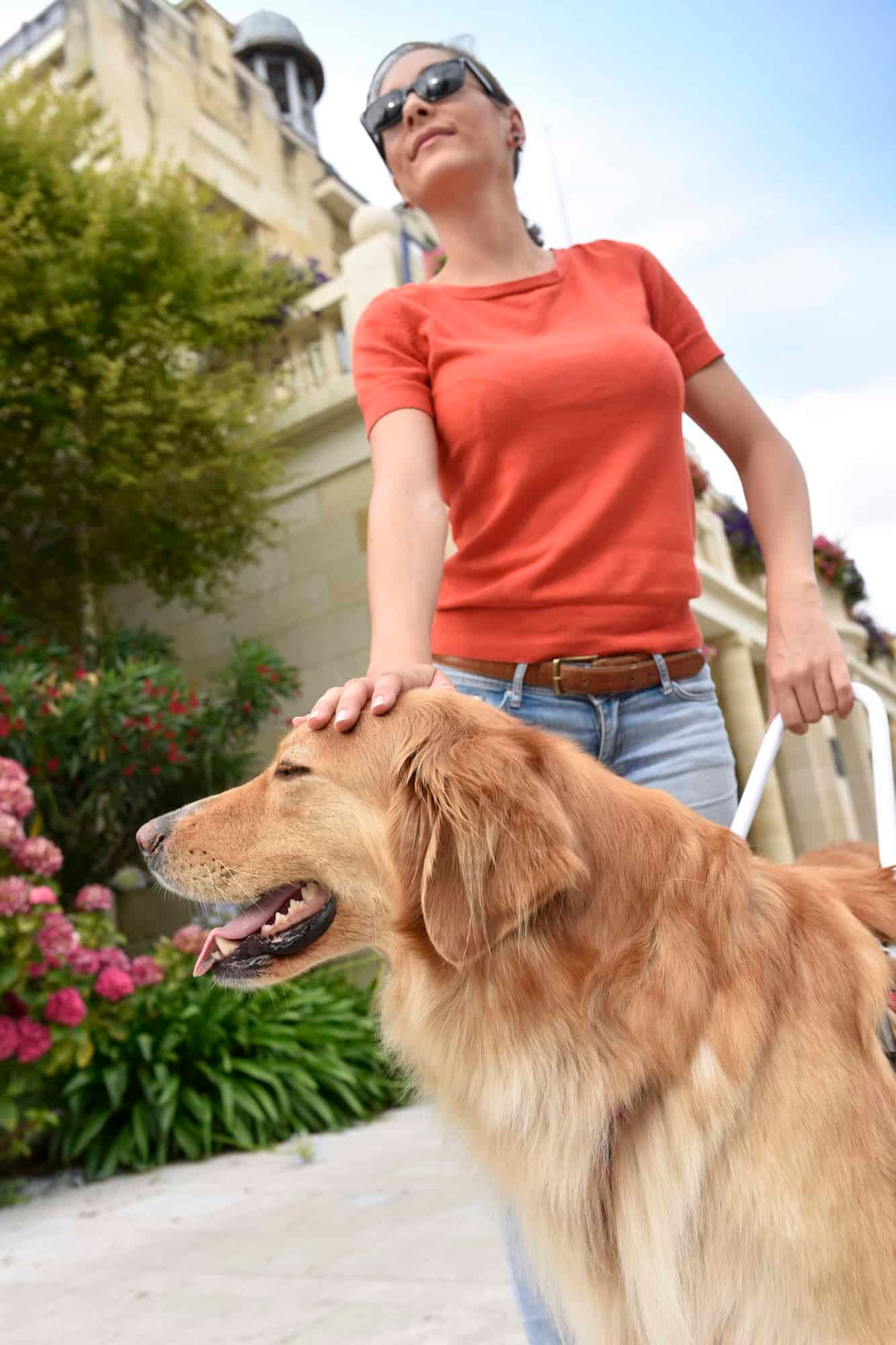 Blind woman and her golden retriever service dog