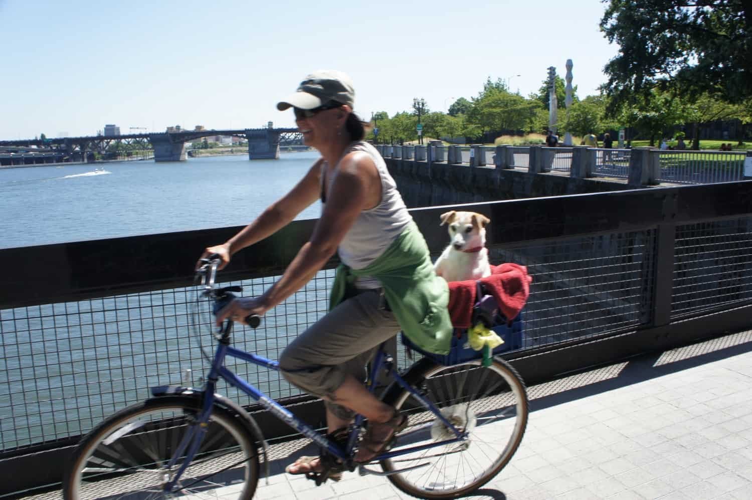 Woman riding a bike with a dog in a basket on a bridge in pet-friendly Portland, Oregon