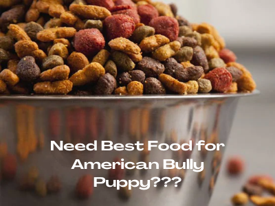 Best Dog Food for American Bully Puppy 1