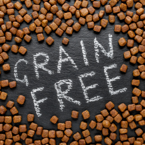 grain free dog food
