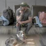 Tips for Flying with a Pet