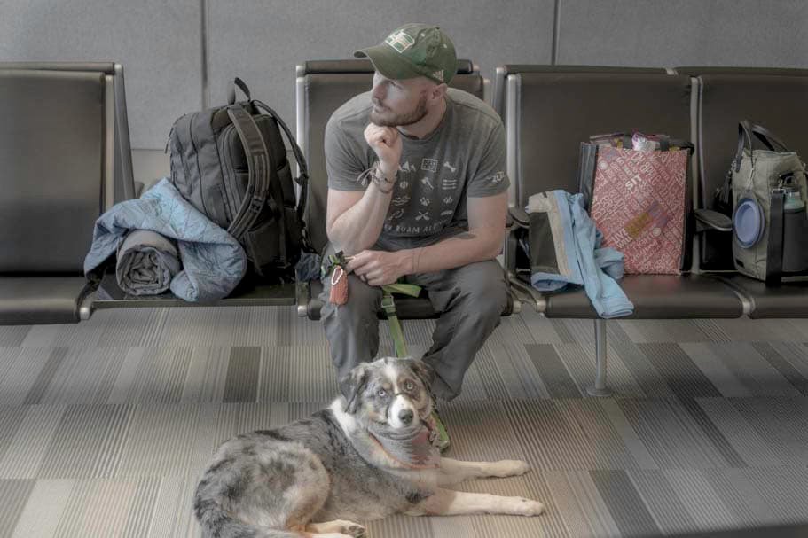 Tips for Flying with a Pet