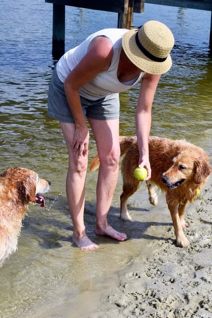 Begrüßung Erwachsener & Hund am Strand 700 px