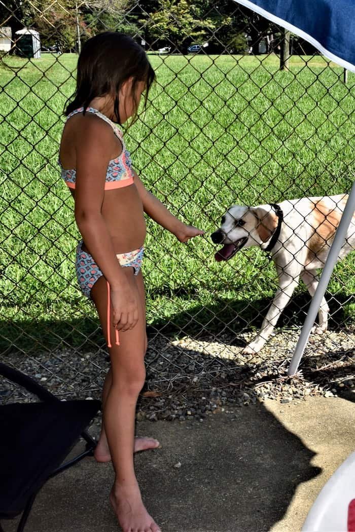 Kind grüßt verlorenen Hund am Pool.