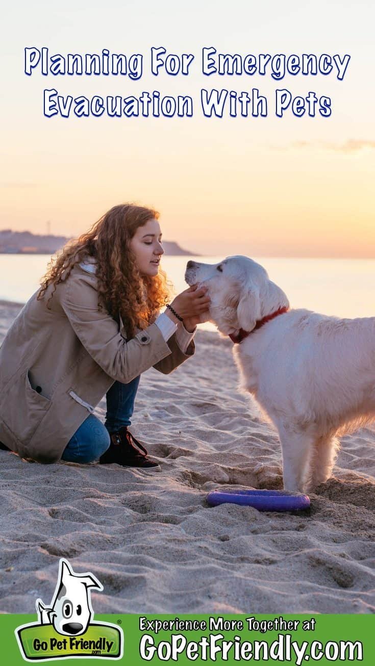Woman holds her dog's face in her hands on a beach with the setting sun in the background