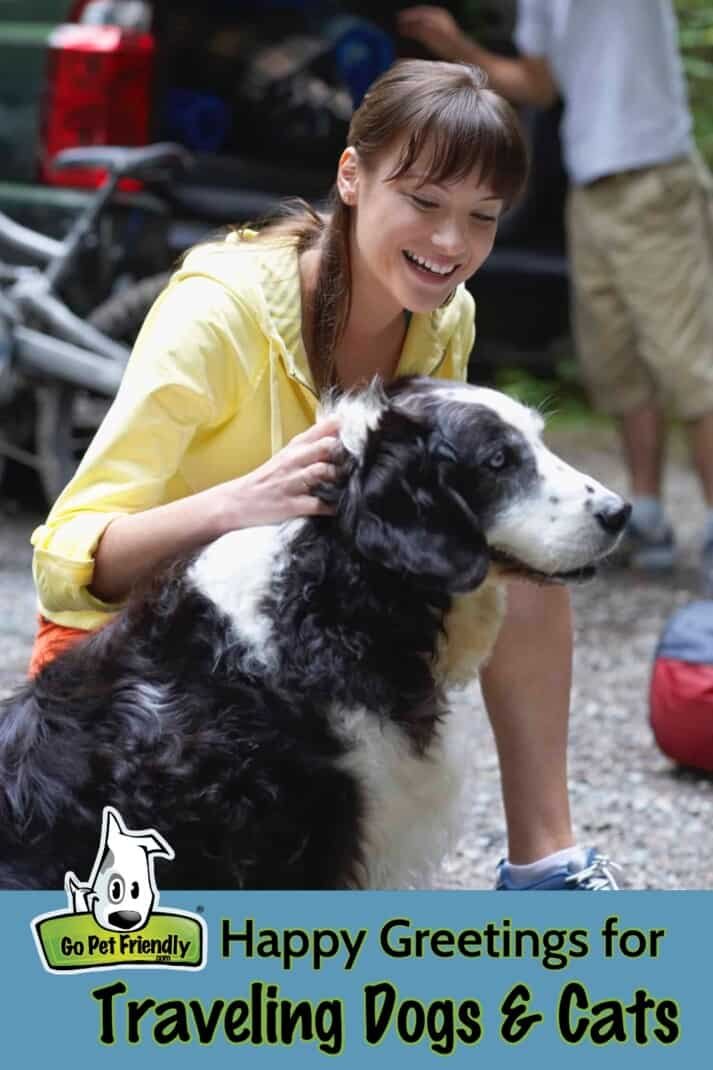 Fröhliche Grüße mit Haustieren - Frau trifft Hund im Freien