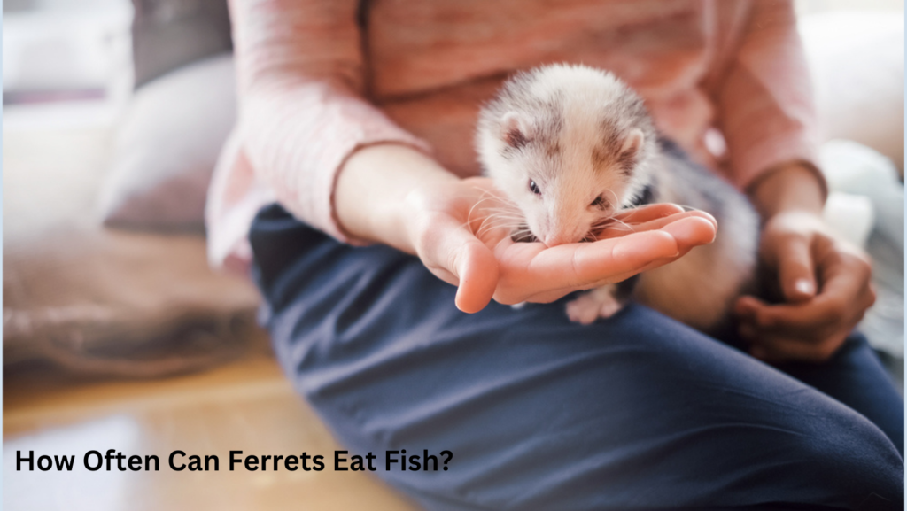 <strong>Is Raw Fish Bad For Ferrets?</strong> 3