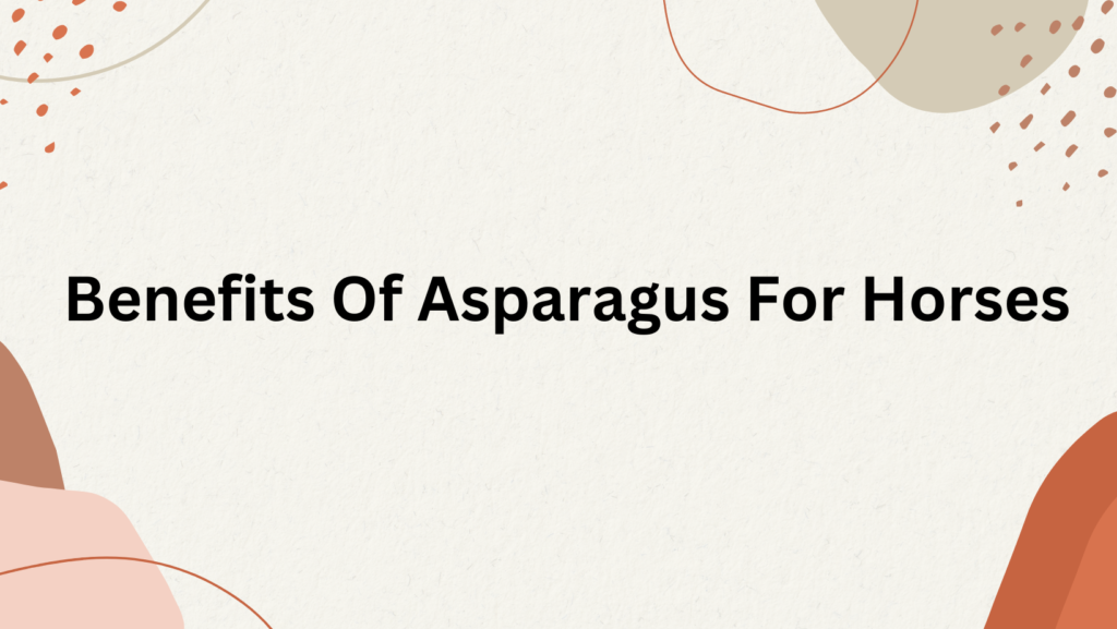 <strong>Can Horses Eat Asparagus?</strong> 2