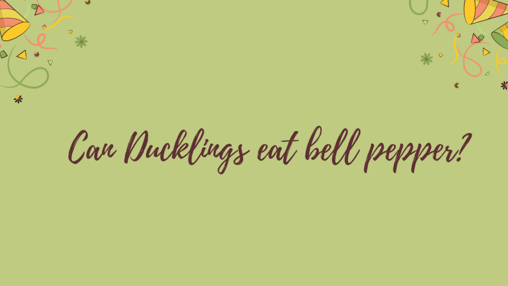 Can Ducks Eat Bell Peppers? 2