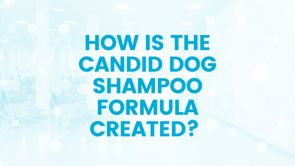 Hemp Pet CBD Oil Shampoo 2