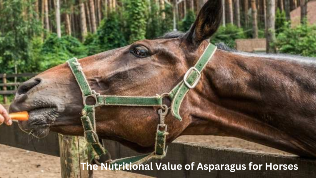 <strong>Can Horses Eat Asparagus?</strong> 4