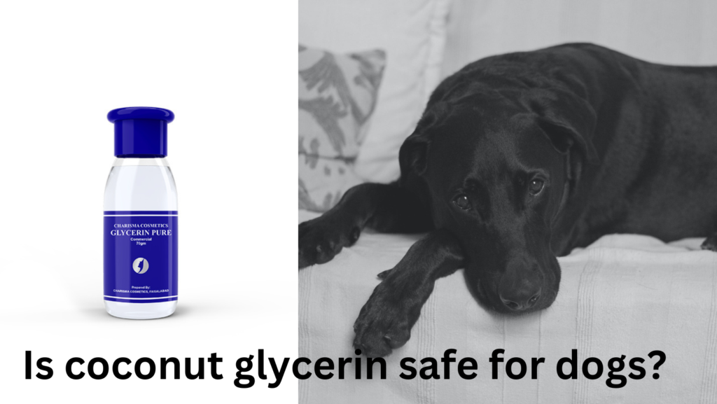 Is Glycerin Safe For Dogs Skin? 4